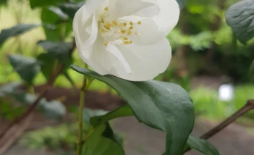 Image 20 of 104