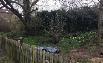 Image 4 of 7