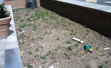 Image 7 of 8