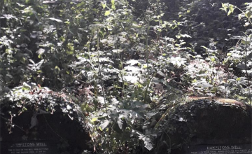 Image 8 of 104