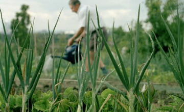Image 6 of 6
