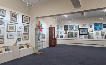 Image 1 of 12