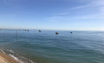 Image 7 of 18
