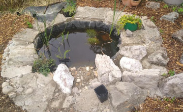 Image 38 of 41