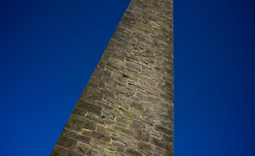 Image 12 of 16