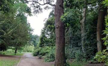 Image 2 of 3
