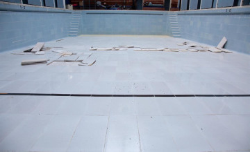 Image 4 of 8