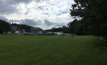 Image 12 of 12