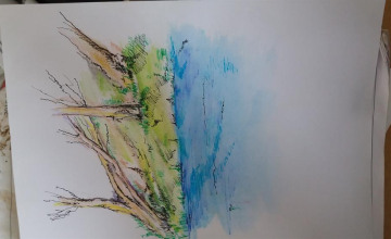 Image 2 of 8