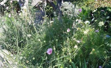 Image 4 of 7