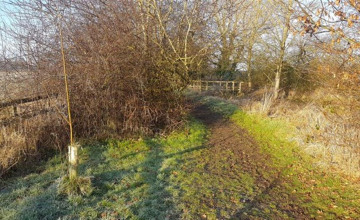 Image 8 of 16