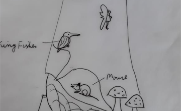 Image 2 of 8