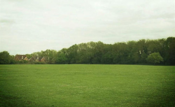 Image 2 of 2