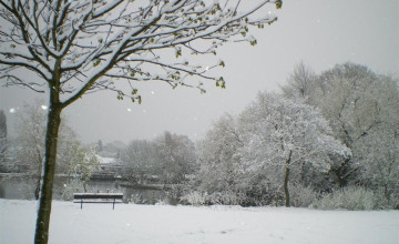 Image 19 of 23