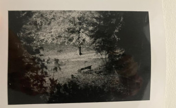 Image 1 of 12