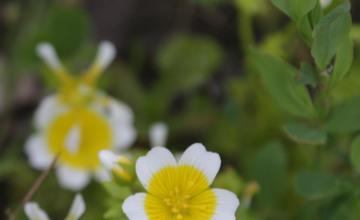 Image 6 of 16
