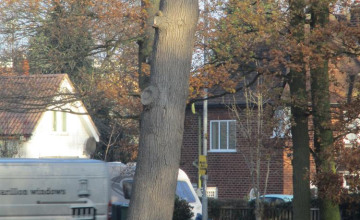 Image 7 of 8