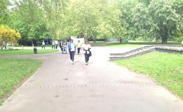 Image 29 of 41