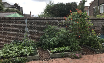 Image 6 of 25
