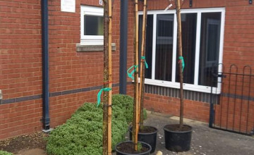 Image 7 of 19