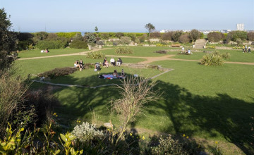 Image 3 of 8