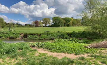 Image 6 of 8