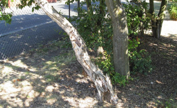 Image 21 of 21