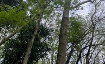 Image 8 of 8