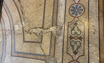 Image 7 of 20