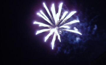 Image 12 of 35