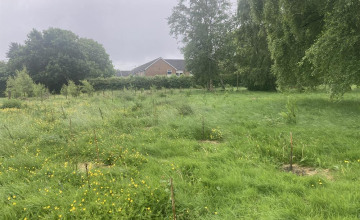 Image 16 of 16