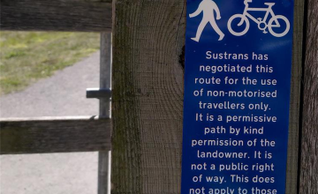 Image 8 of 11
