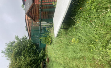 Image 2 of 16