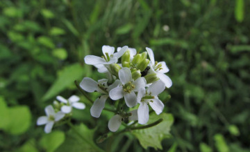 Image 10 of 20