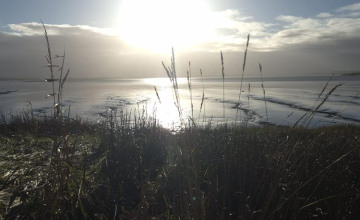 Image 10 of 9