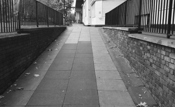 Image 9 of 14