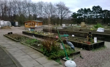 Image 4 of 5