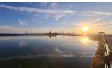 Image 2 of 1