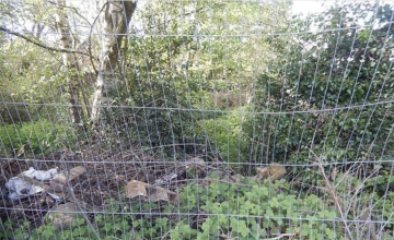 Image 80 of 122