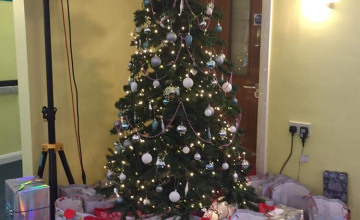 Image 11 of 25