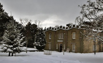 Image 11 of 12