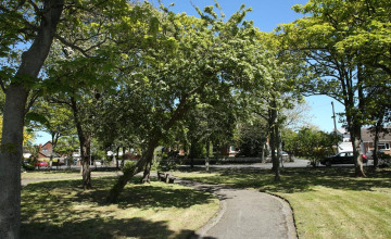 Image 8 of 13