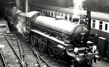 Image 4 of 7