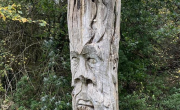 Image 7 of 8