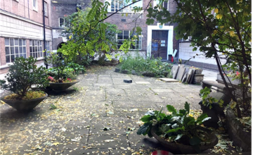 Image 6 of 9