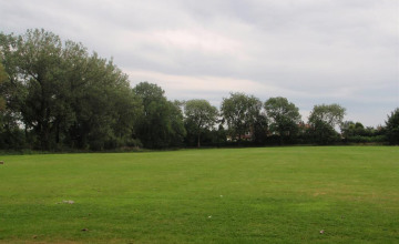 Image 4 of 6