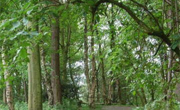 Image 13 of 15