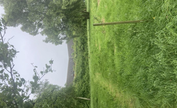 Image 12 of 16