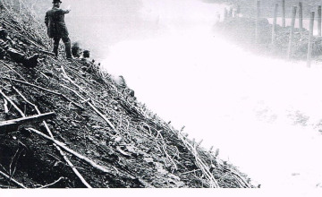 Image 2 of 2