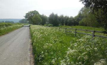 Image 16 of 16
